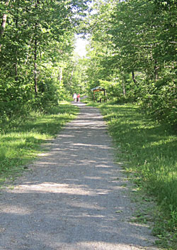 Bells' Gap Walking Trail